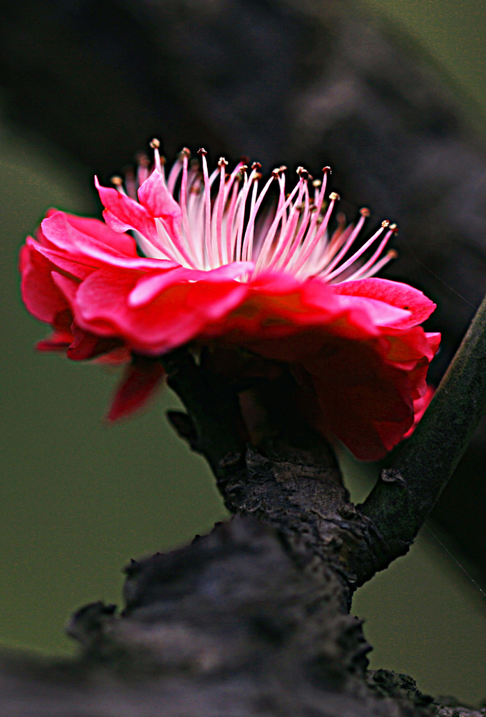 Ƭ 025.jpg