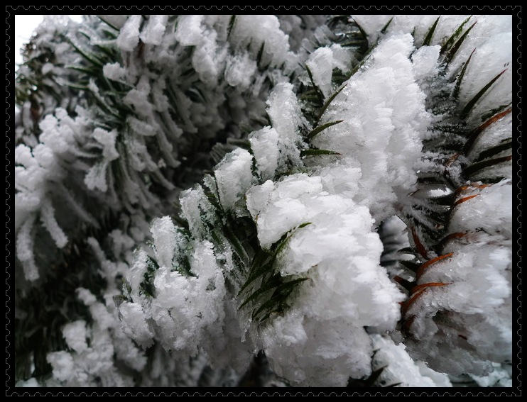 p1090859_Ӱ_1.jpg