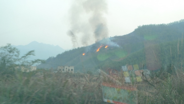 03.jpg
