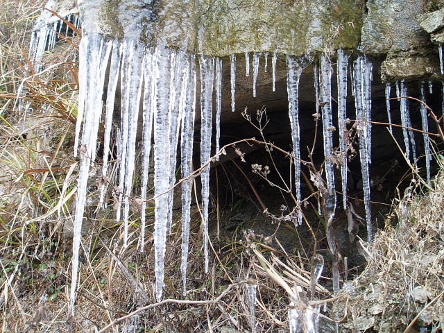 p1010909.jpg