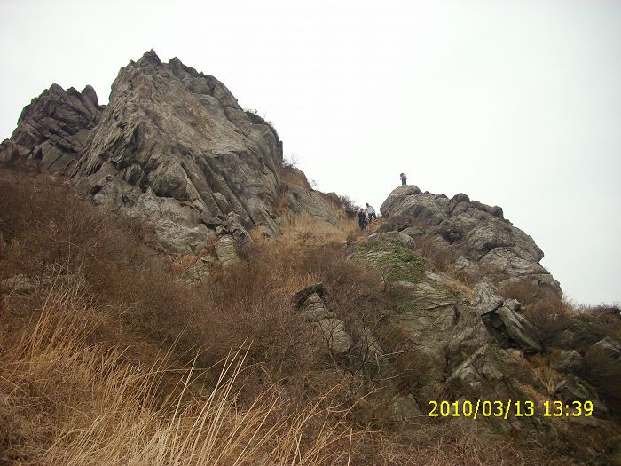 img_0037.jpg