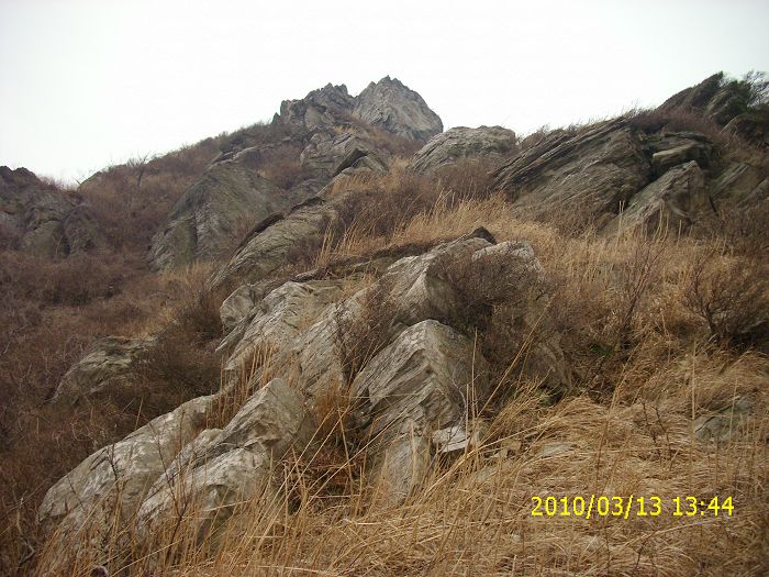 img_0040.jpg