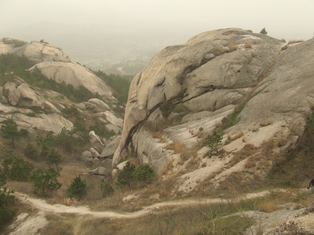 dscf0708.jpg