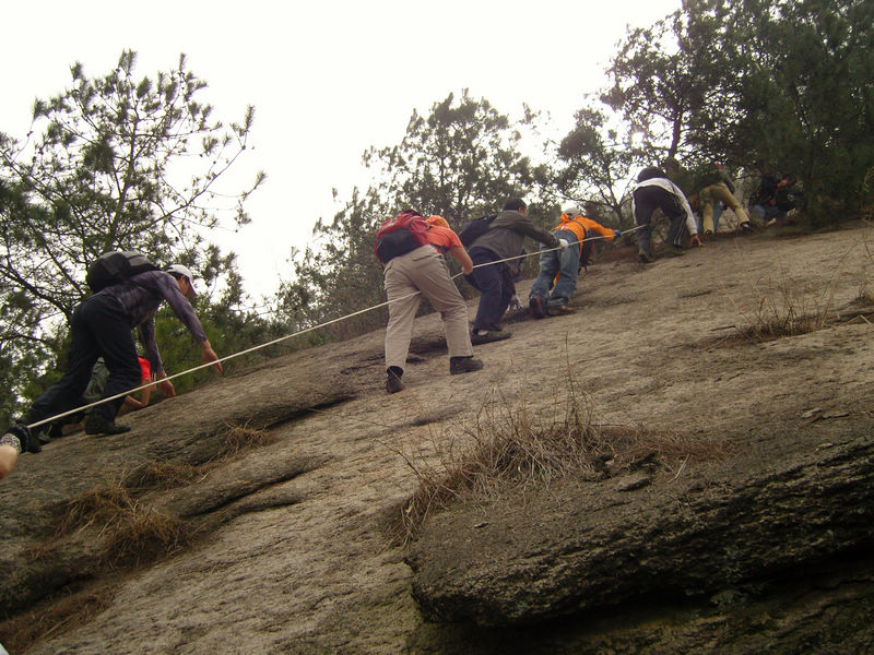  snc10009.jpg