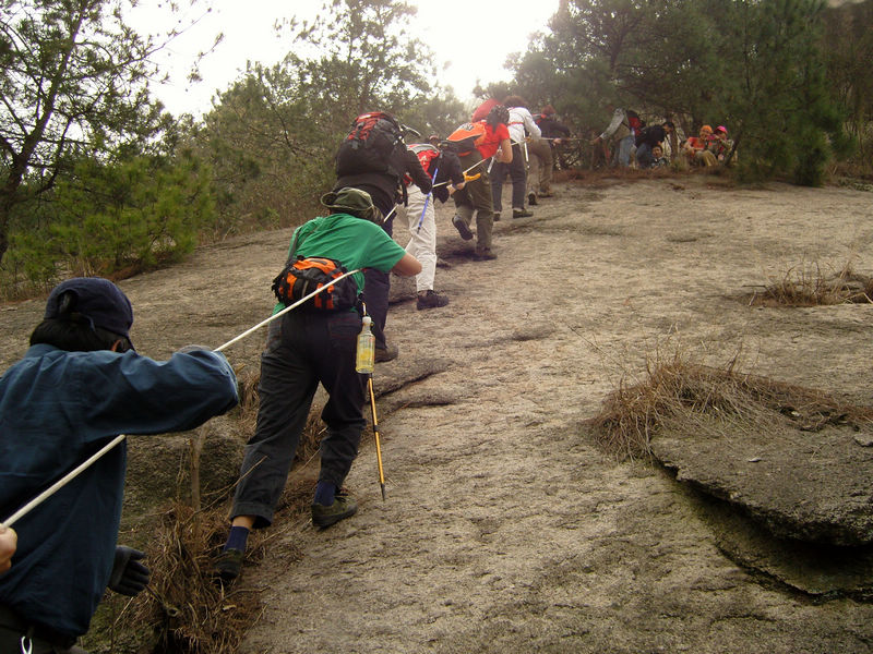  snc10011.jpg