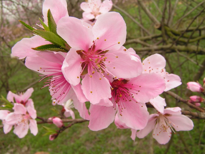 pict0007_С.jpg