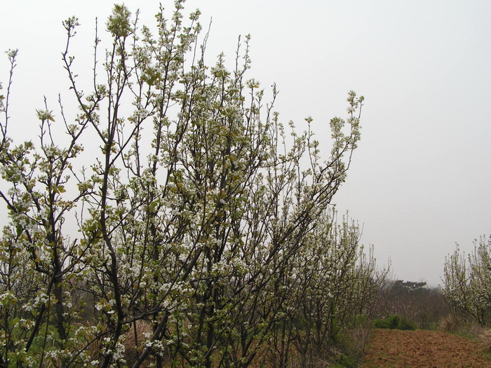 pict0014_С.jpg