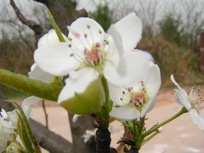 pict0015_С.jpg