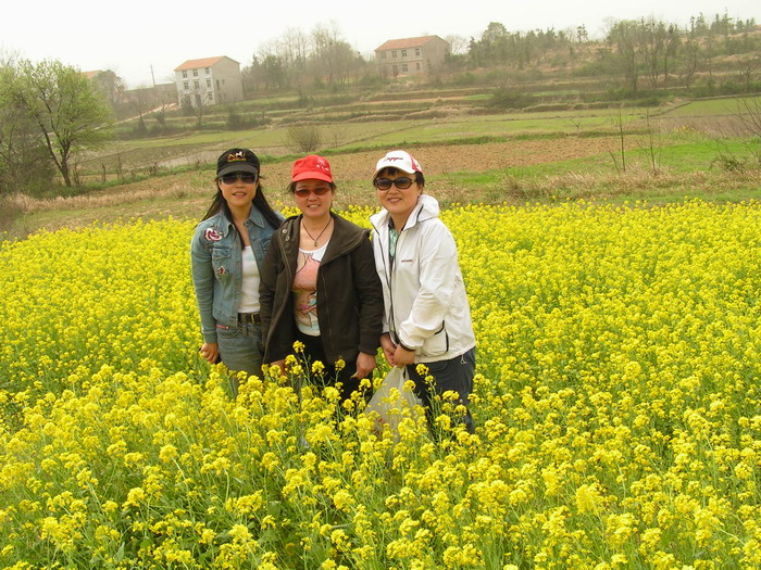 pict0035_С.jpg
