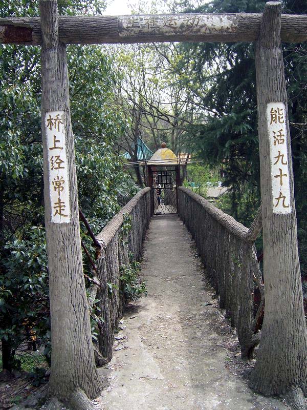 100_6382.jpg