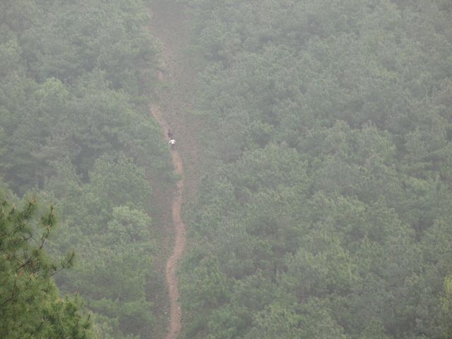 img_2777.jpg