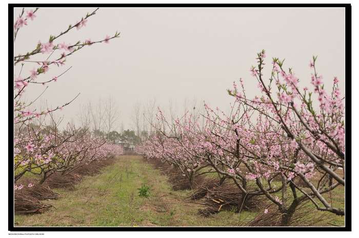 20100320뿴滨 1.jpg