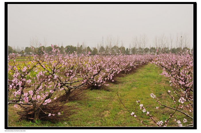 20100320뿴滨 2.jpg