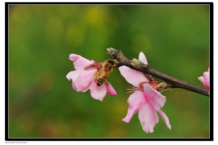 20100320뿴滨 3.jpg
