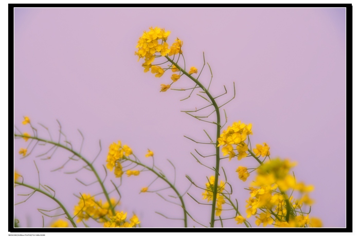 20100320뿴滨 9.jpg