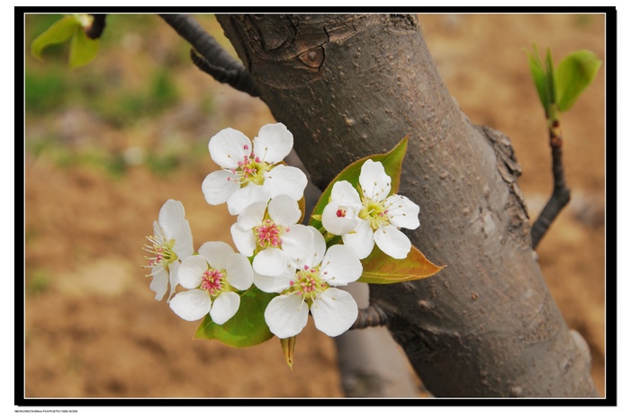 20100320뿴滨 17.jpg