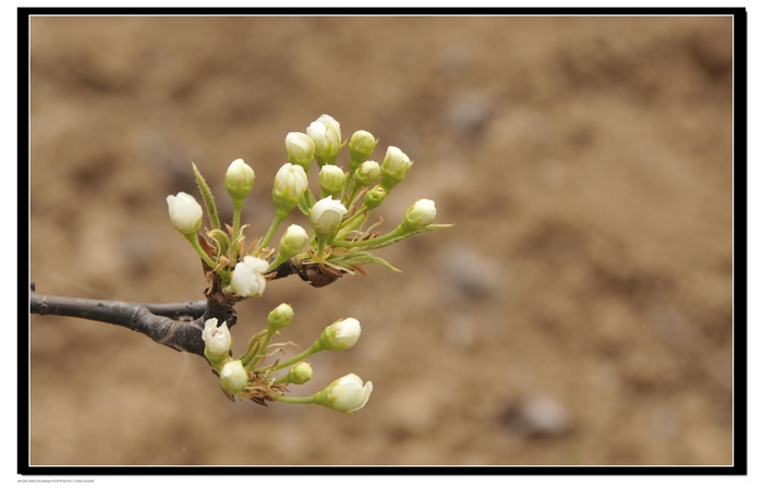 20100320뿴滨 14.jpg