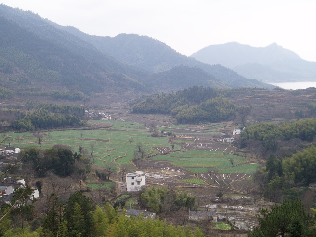 p1010913.jpg