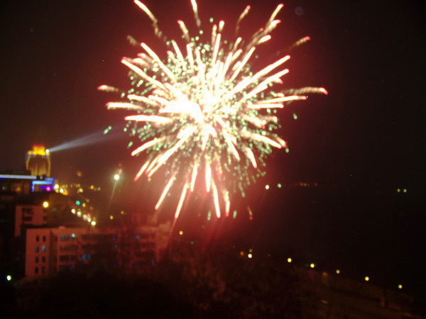 100_3310.jpg