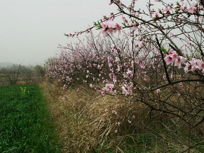 dscf5375.jpg