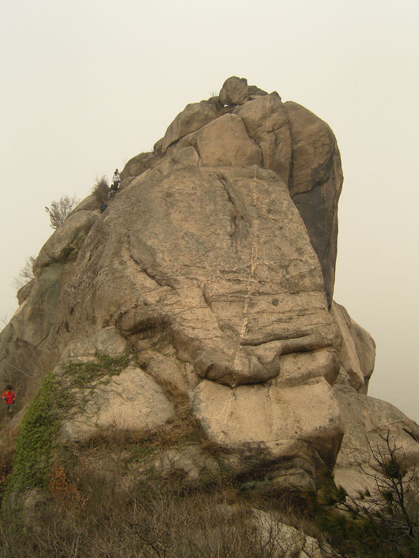  snc10114.jpg