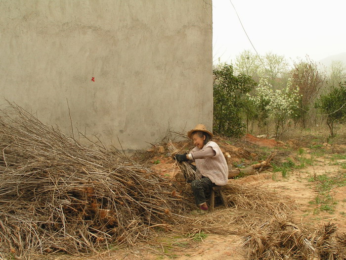 pict0082_С.jpg