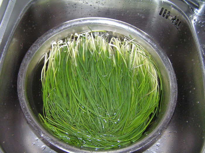 pict0084_С.jpg