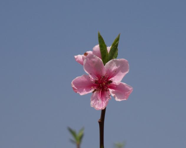 ũĴ013.jpg
