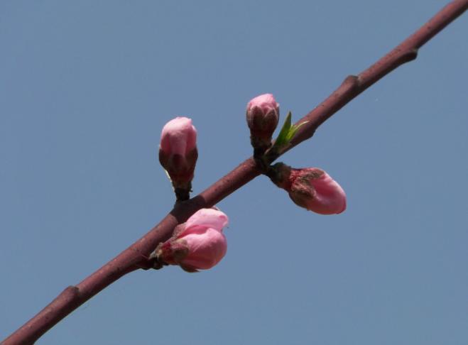 ũĴ016.jpg