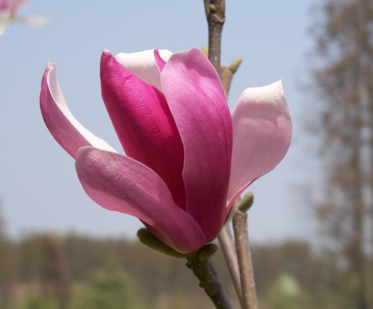 ũĴ009.jpg