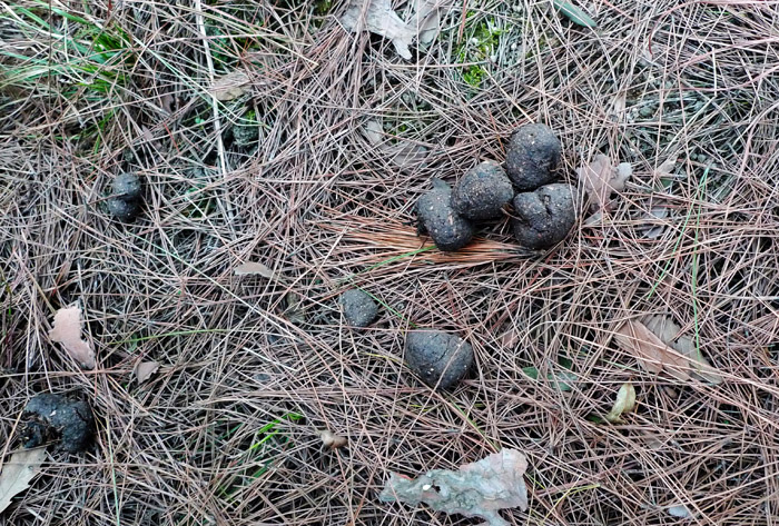 p1020774.jpg
