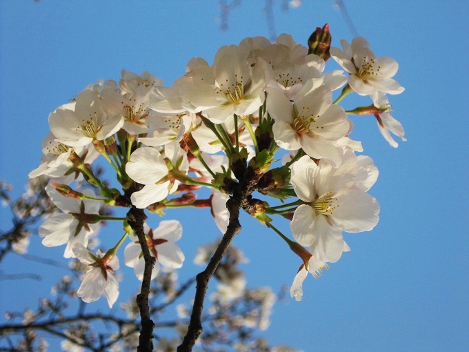 20103211939562734.jpg