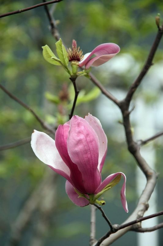 2010. 073.jpg