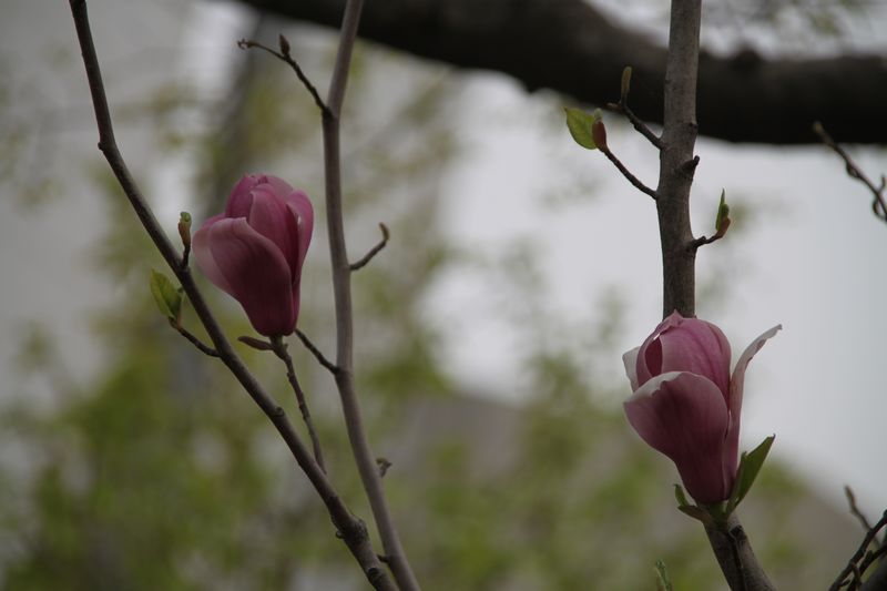 2010. 074.jpg