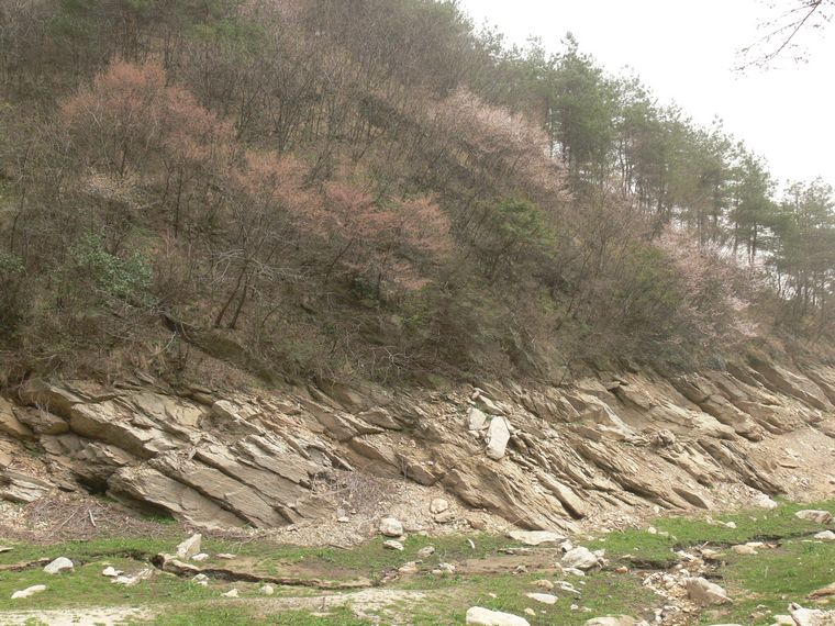 p1090307.jpg