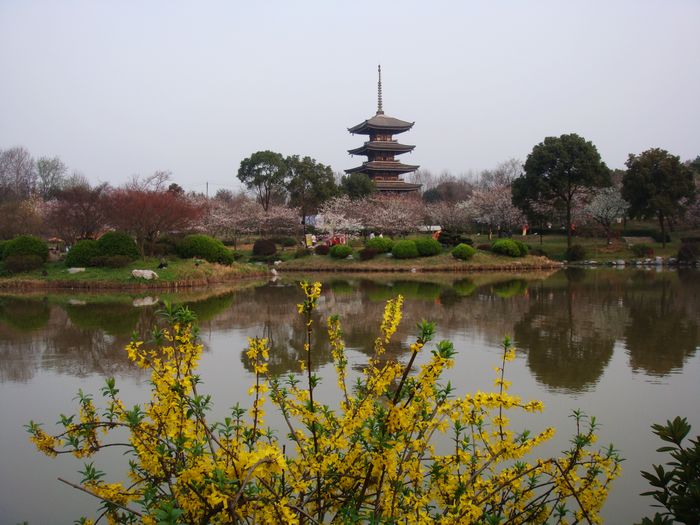 Ƭ2010.26 102.jpg