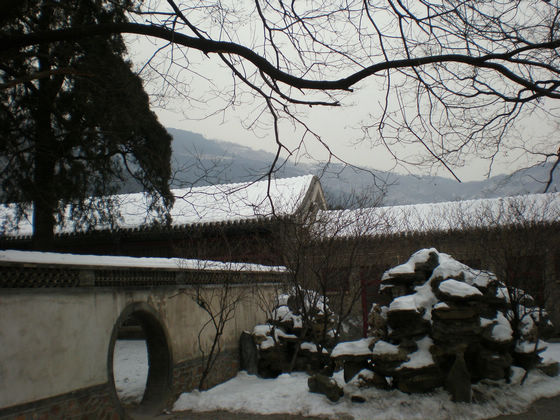 p1100659.jpg