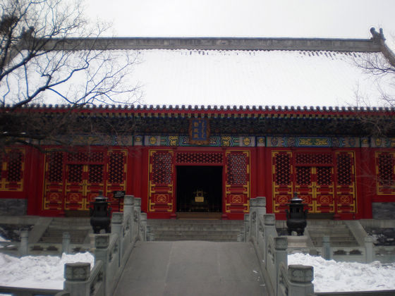 p1100675.jpg