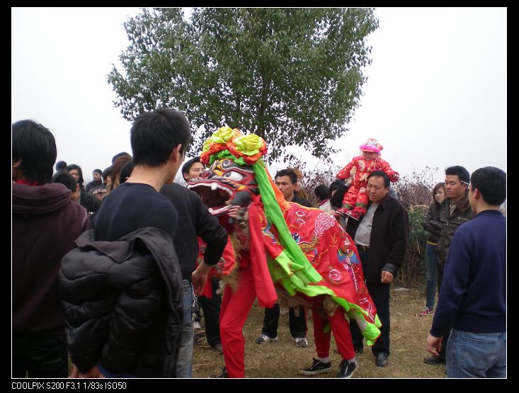 dscn5219.jpg