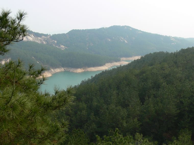 p1090038.jpg