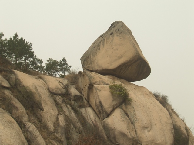 dscf0742.jpg