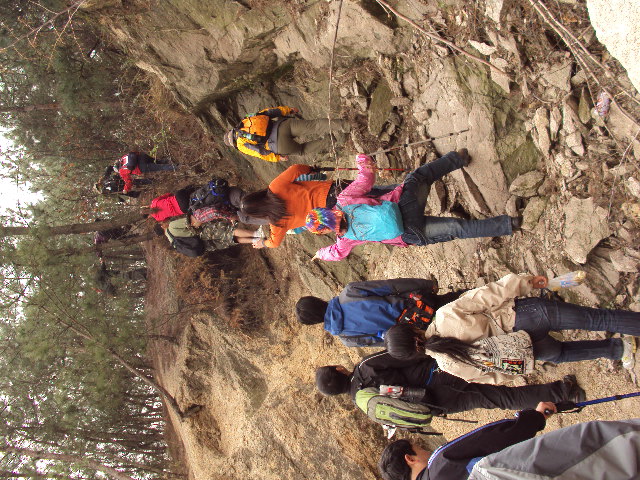 dsc03553.jpg