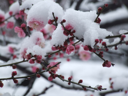 597cf072t53621d61aae1&000.jpg