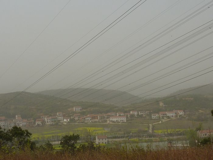 p1010920.jpg