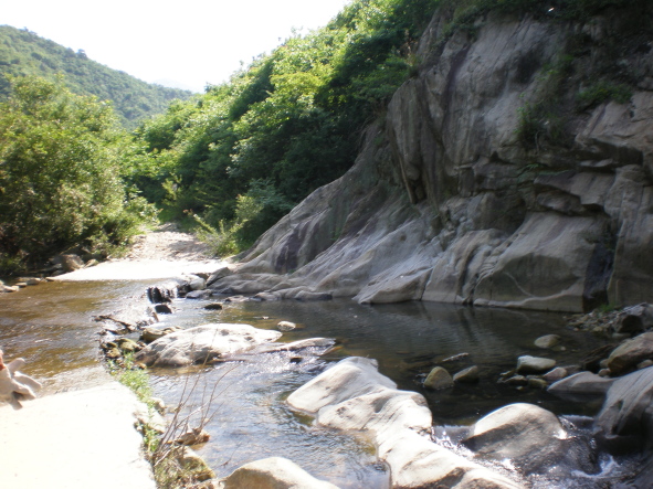 2009050620090506_20090506_06.jpg
