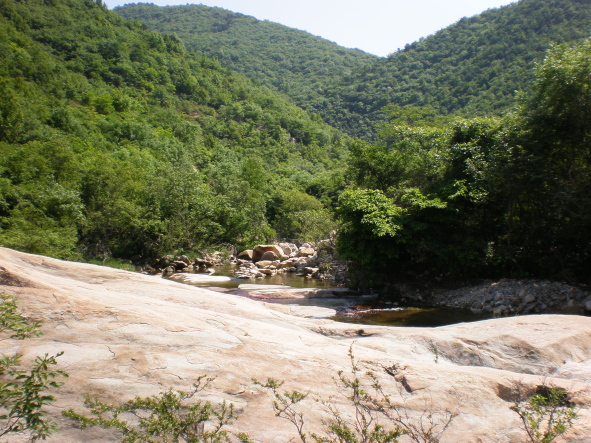2009050620090506_20090506_13.jpg