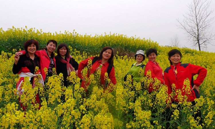 p1050427.jpg