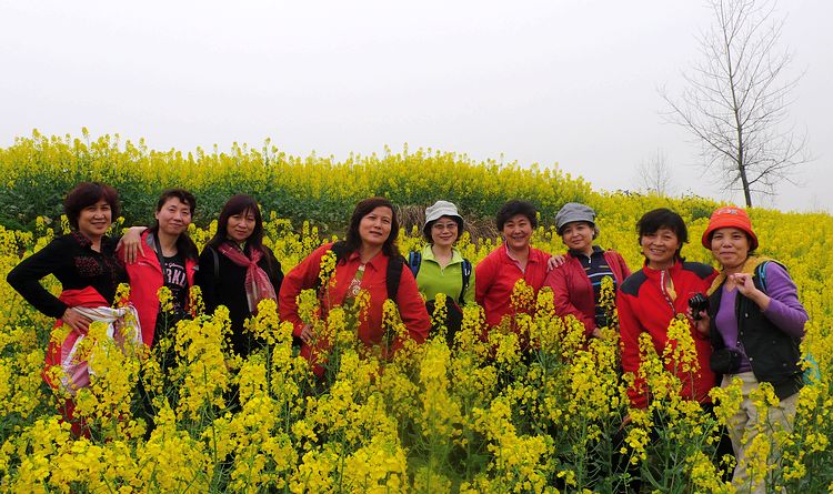 p1050429.jpg