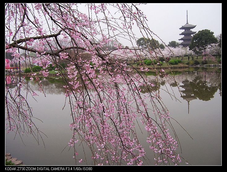 2010-3-22ӣ԰ 023.jpg