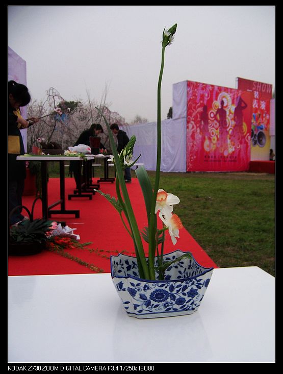 2010-3-22ӣ԰ 041.jpg